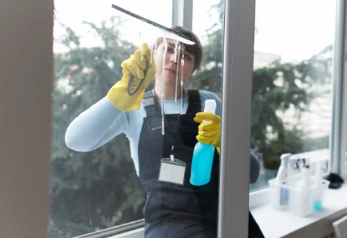 Nettoyage de vitres intérieures et extérieures à Chadurie